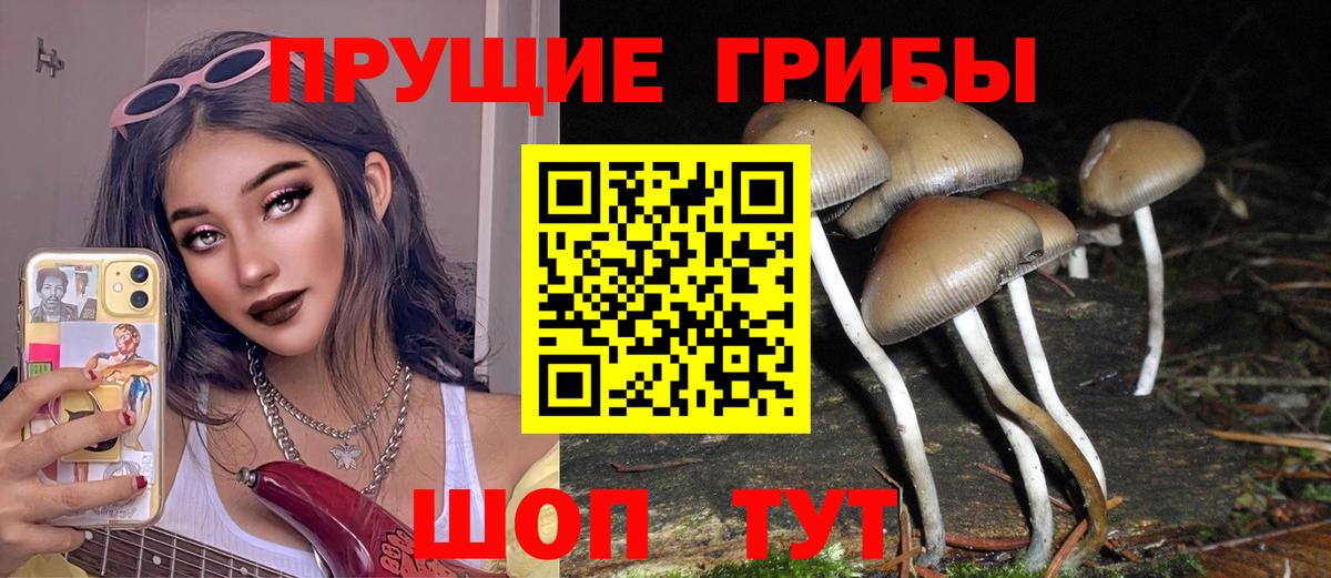 Галлюциногенные грибы Psilocybine cubensis  Вход с VPN  Камышин 